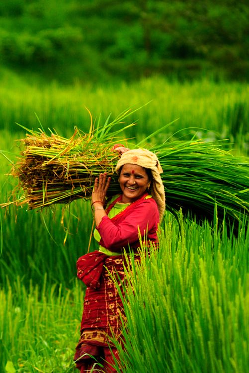 Natural Farming
