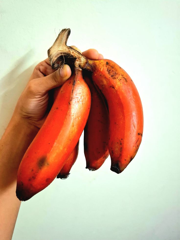 Organic Red Banana