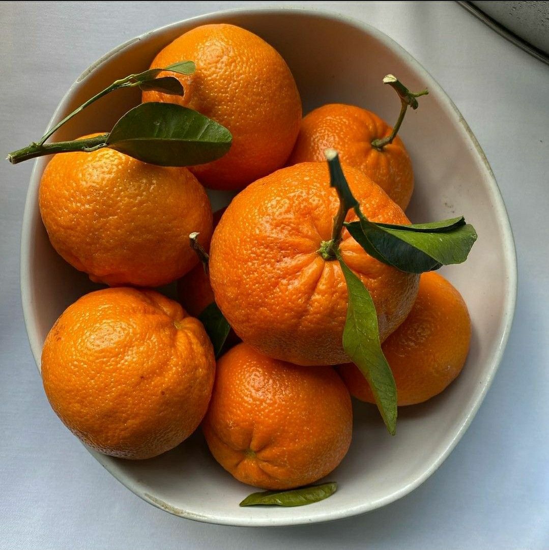 Organic Orange