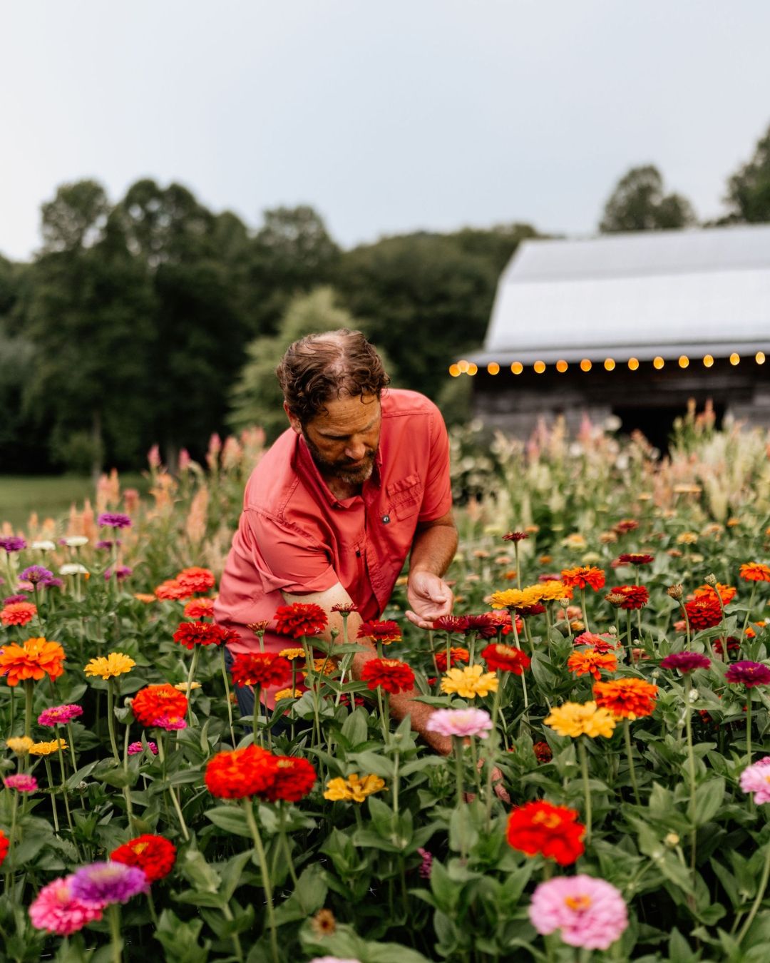 KR Organic Flower Cultivation
