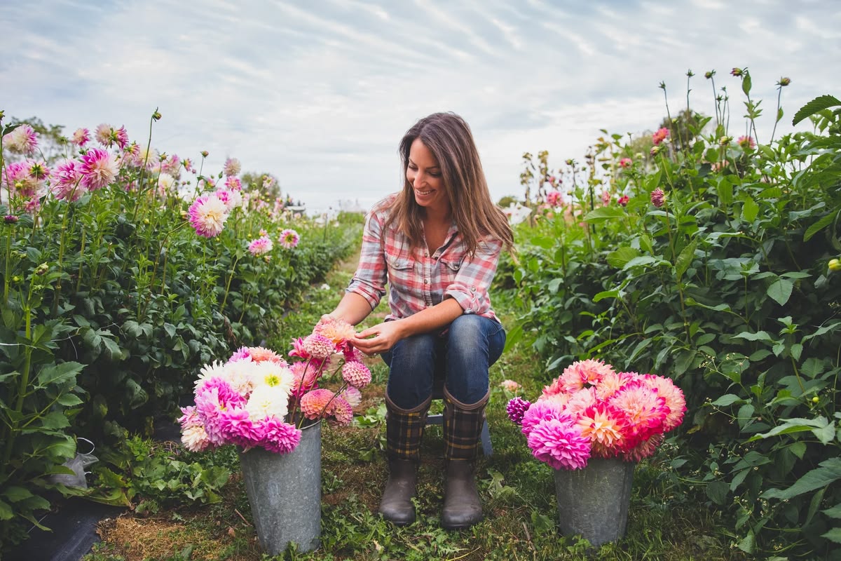 KR Organic Flower Cultivation