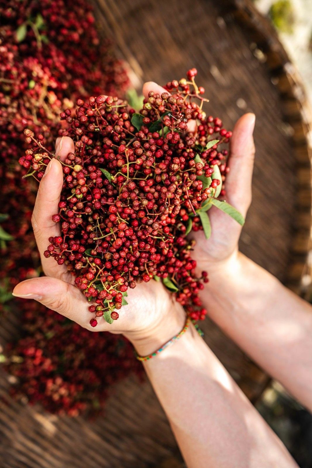 KR Organic Spice Cultivation