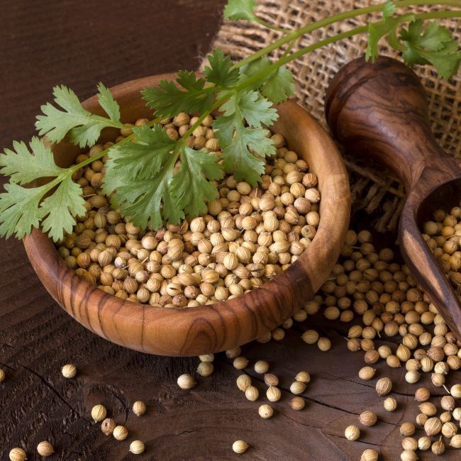 Organic Coriander